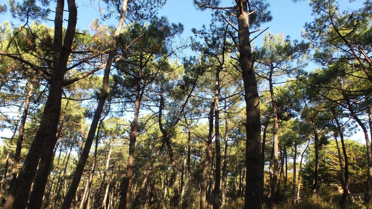 Chambre D'Hotes Et Spa De La Presqu'Ile La Faute-sur-Mer Εξωτερικό φωτογραφία